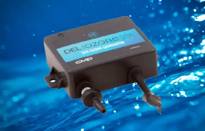Ozone detoxification